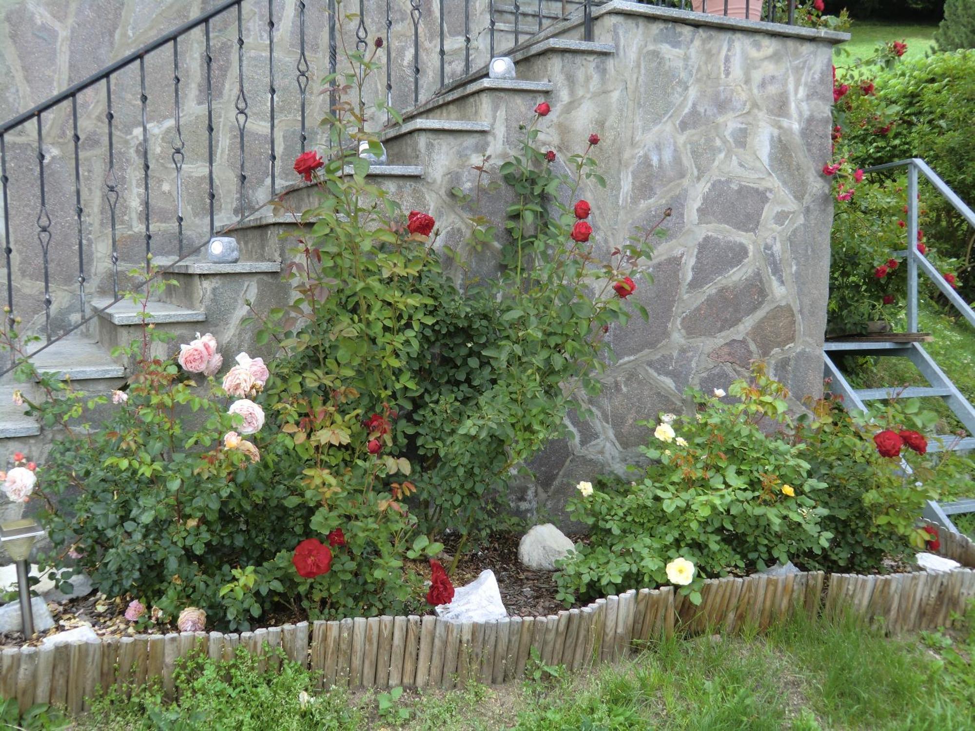 Alpenblick Bed & Breakfast Βιπιτένο Εξωτερικό φωτογραφία